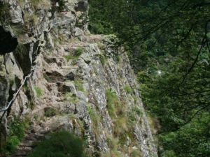 Sentier des roches - Hohneck