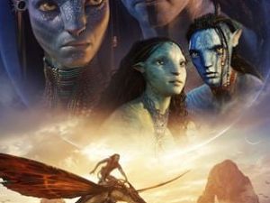 Avatar - Path Tours Nord