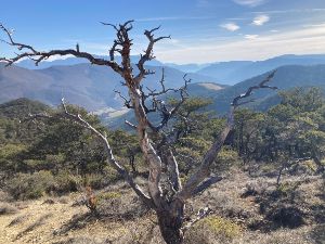TMS Les cols de Vachères VACHERES EN QUINT (26) Dimanche 26 mars 2023