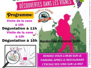 Visite des vignes et de  cave