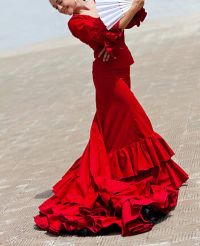 Flamenco por dentro