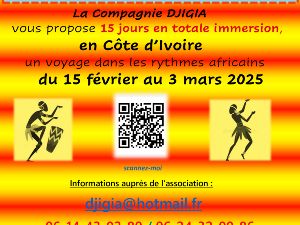 Stages de danse et percu en Afrique fvrier 2025
