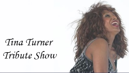 Concert tribute Tina Turner