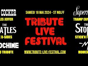 Tribute Live Festival n2.  
