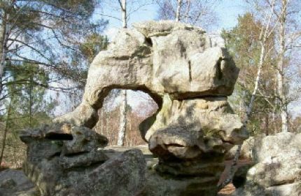 les 25 bosses foret de fontainebleau