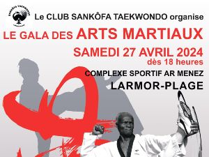Gala des arts martiaux