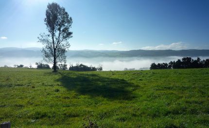 Balade sur les hauteurs de la Ricamarie