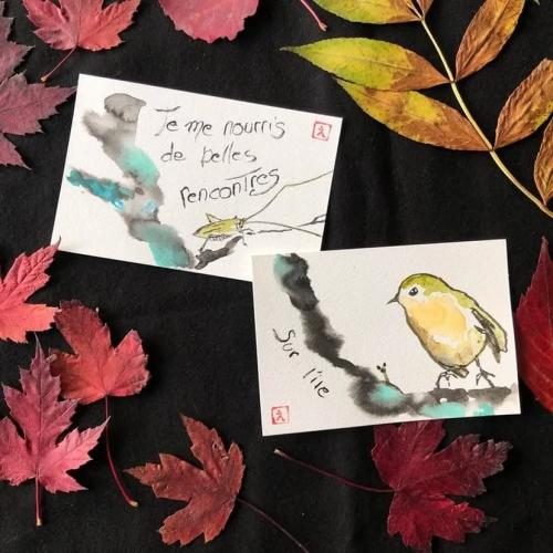 Oiseaux etegami